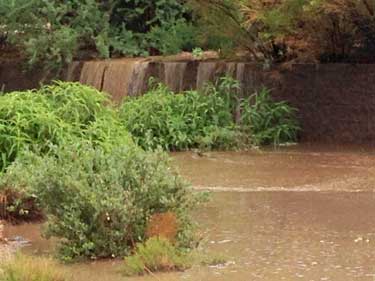 kiwanis flooding